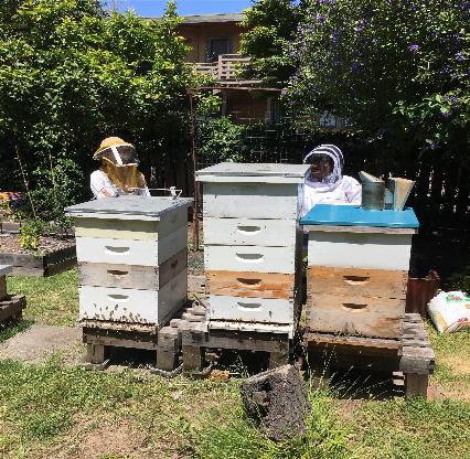 Here Are Four Tips To Keep You Busy While You Await the Beekeepers
