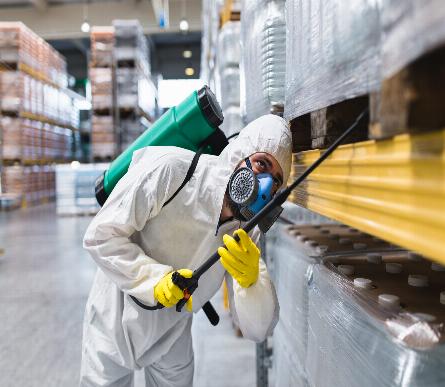 The Beekeeping Beginner’s Guide – Clues, Cues, and a Dash of Laughter